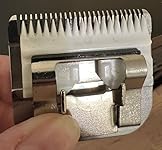 Review Image by Judy G Judy G