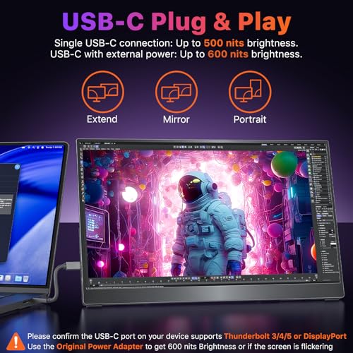 Portable Monitor for Laptop 17.3 Inch