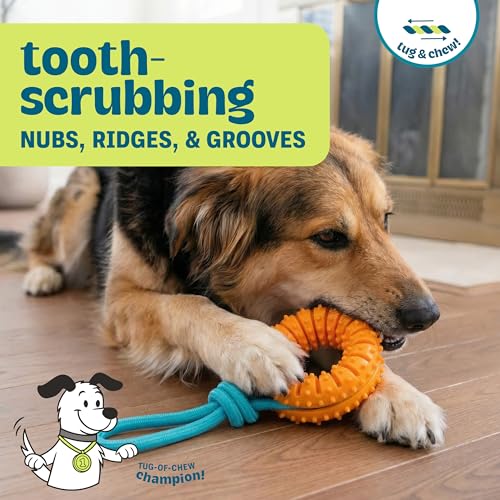 Image of Dental Chew Wheel Dog Toy - Ring & Rope Tug, Multi-Textured, Soft on Teeth, Moderate Chewers, Mint Scented, 9 inch