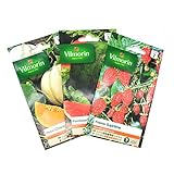 Pack de 3 sachets graines Melon   Pastèque   Fraisier
