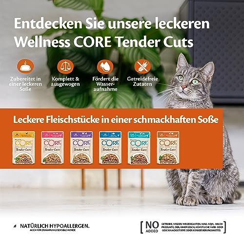 Wellness CORE Tender Cuts 6 x 85g, Hühnchen Selection Mix – Nassfutter für Katze, zarte Stücke in Sauce, getreidefrei, natürlich, hypoallergen, proteinreich, hoher Fleischanteil