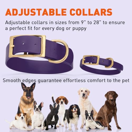 Image of Viper Biothane Heavy Duty Waterproof Dog Collar Strong Coated Nylon Webbing w /Solid Brass Hardware Odor-Proof Easy to Clean High Performance Fits Small Medium or Large Dogs, Violet Purple