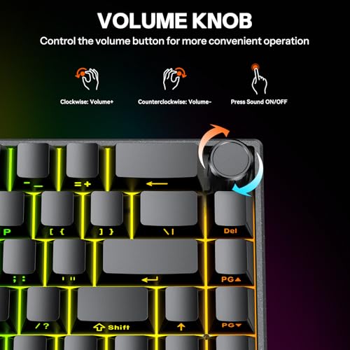 TECURS Aluminum Chassis Wired Magnetic Switch Mechanical Gaming Keyboard, 65% Compact Hall Effect Keyboard with RGB Lighting, Side-Printed Keycaps, Hot Swappable, Volume Knob, Customizable, US Layout - Image 4