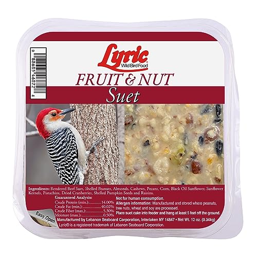 Lyric Fruit & Nut Wild Bird Seed Suet Cakes for Wild Birds, 12 oz. (12 Pack)