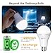 Brightown Rechargeable Emergency Light Bulbs (White, 60LED)