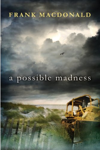 A Possible Madness 1897009658 Book Cover