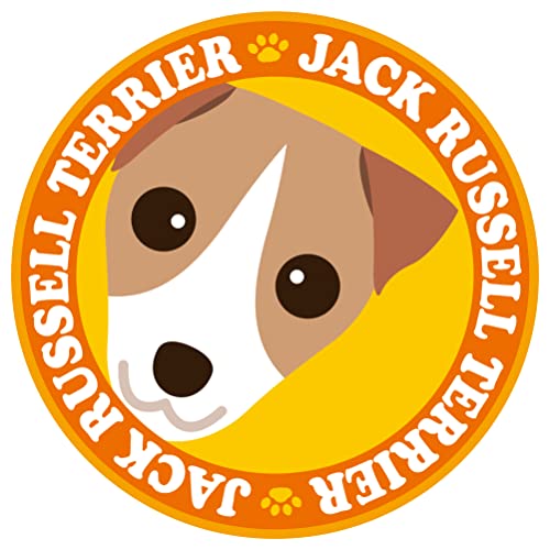 見つめる ジャックラッセル テリア スムース 犬 ステッカー オレンジバック 丸型 Lサイズ MK-3