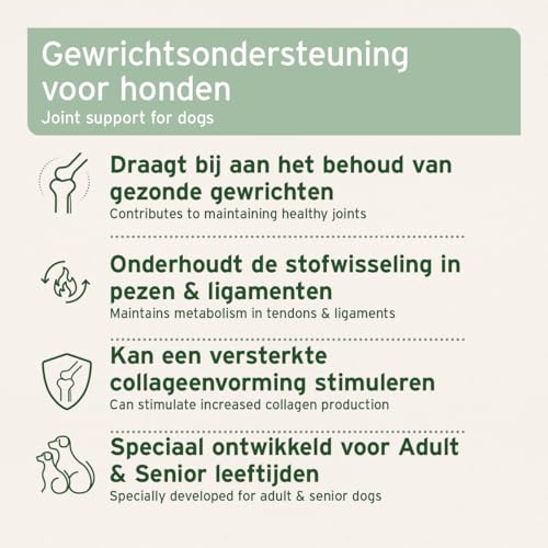 AniForte Gelenktabletten Hund AgilityVet 300 Stück - Natürlich & getreidefrei, mit Grünlippmuschel, Teufelskralle, Kollagen Pulver & Weihrauch für Hunde Gelenke & Sehnen
