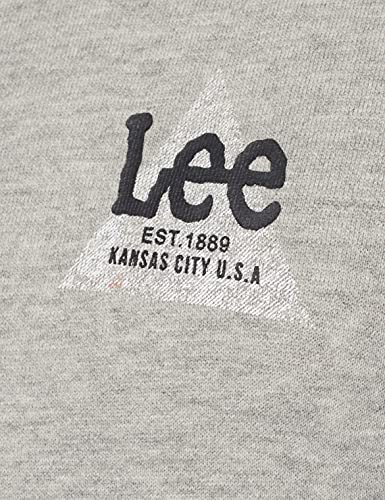 Lee SMALL TRIANGLE HOODIE Maglia di tuta Uomo