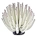 Tetra ColorFusion Blooming Collection Anemone, Aquarium Decor, Coordinates ColorFusion LED Light