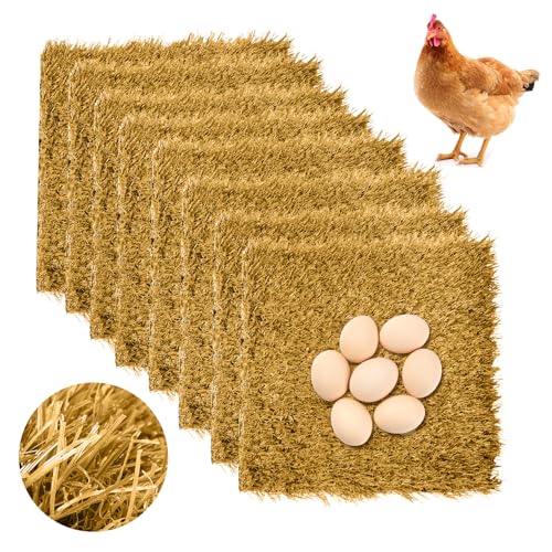 Hamiledyi 8 `LlXeBOpbh 30.5 cmx30.5 cm lH O J[ybg  }bg \ `LR[v Q  Ő /O `Lw ^ybgpQ (uE)