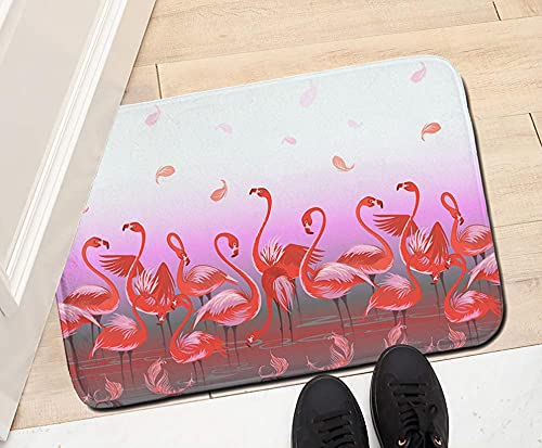 Xdmy Door Mats Decorative Entrance Doormats Indoor Outdoor Bathroom Non-Slip Home Decorative Entry Doormat Birds Flamingos #TOP1