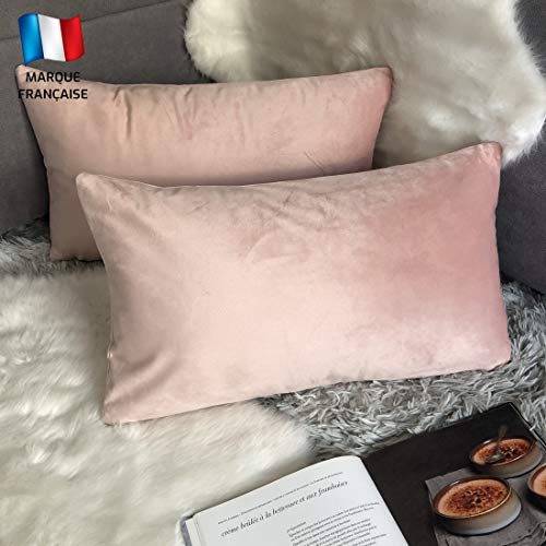 Douceur De Plumes Lot de 2 Housse de Coussin Rose Poudré Pale Velours 30x50 cm Uni, Taie d'oreiller Rectangulaire Doux et Moderne pour Salon Scandinave, Pink...
