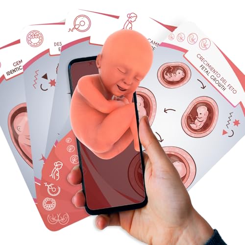 AR+ Body Planet: Baby Cards, Cartas educativas del Nacimiento con Realidad Aumentada