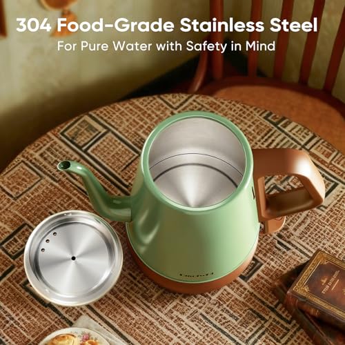 DmofwHi 1.0L Stainless Steel Kettle