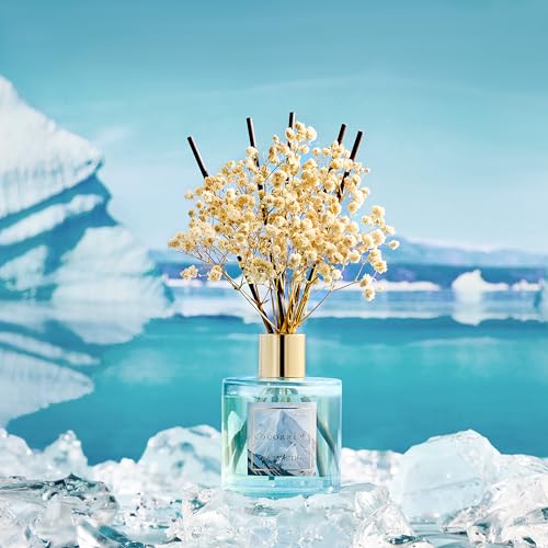 Image of COCORRINA Reed Diffuser - Antarctic 6.7 Fl.oz Reed Diffuser Set with 8 Sticks & Preserved Baby's Breath, Reed Diffuser for Home Bathroom Shelf Decor