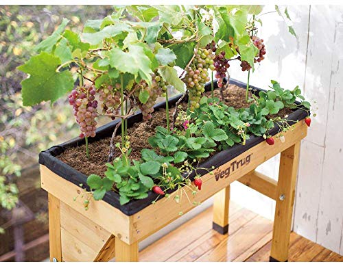 VegTrug Wallhugger Vertical Small (1m) Raised Wooden Outdoor Gard...