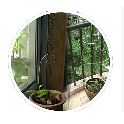 VIMOA Garden Twine Bonsai Training Wire 65 Feet 2mm Garden Twist Tie for Tomato Plants, Climbing Roses, Vines, Cucumbers, Squash and Wrapping Cords