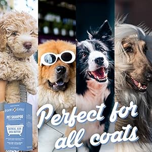   Dog-Shampoo-with-Oatmeal-and-Aloe-Shea-Butter-for-Smelly-Dogs-Puppy-Shampoo-by-Olivers-Choice-14-oz