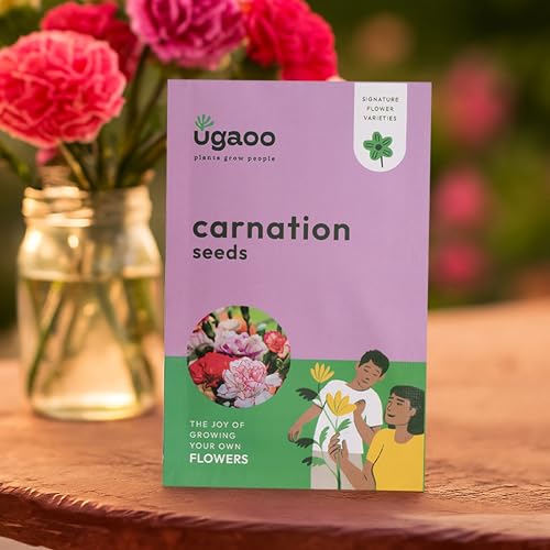 UGAOO Carnation Flower Seeds (Pinkish Purple, Pack of 200)