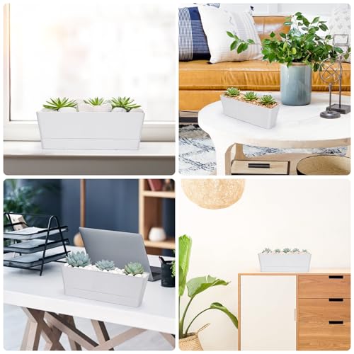 Image of GREANER 12x3.8 Inch Herb Planters, 6 Pack White Rectangle Window Boxes with Tray, Indoor Succulent Cactus Mint Plastic Pot with Saucer for Windowsill, Balcony, Office, Outdoor Garden