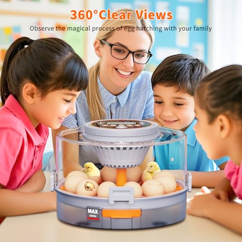 50% Off 12 Egg Incubator with Auto Turning & Humidity Control - Image 5