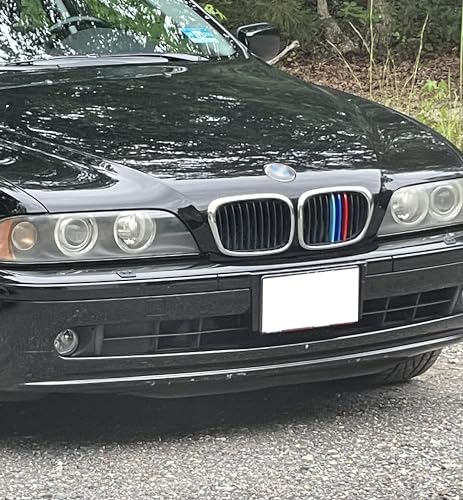 Image of Grille color stripes Compatible accessories 1995-2003 E39 5 Series Kidney Grille 10-Beam