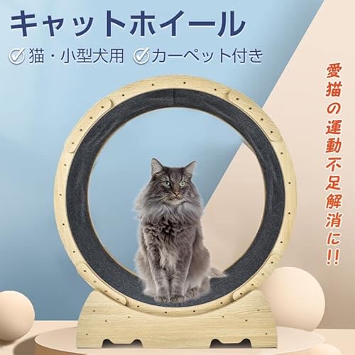 Fkstyle 猫 トレッドミル キャット ホイール ローラー ルームランナー 回し車 観覧車 安全 エクササイズ ランニング の商品画像 1