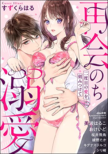 再会のち溺愛 二度目の愛を刻みつけて (無敵恋愛S*girl)