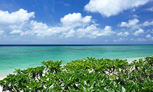 Sony SEL16F28 16mm F2.8 Prime Lens for Sony NEX Series Camera (Silver) amazinggiftidea-com