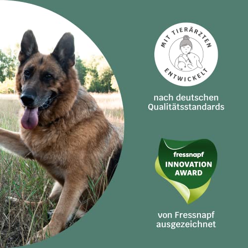 11-in-1 Grünlippmuschel Hund Gelenktabletten - Happy Hips 220 Leckerli (650g) von mammaly - Gelenk- & Knochenschutz für Hunde - Praktische Alternative zu Kapseln & Grünlippmuschelpulver für Senior