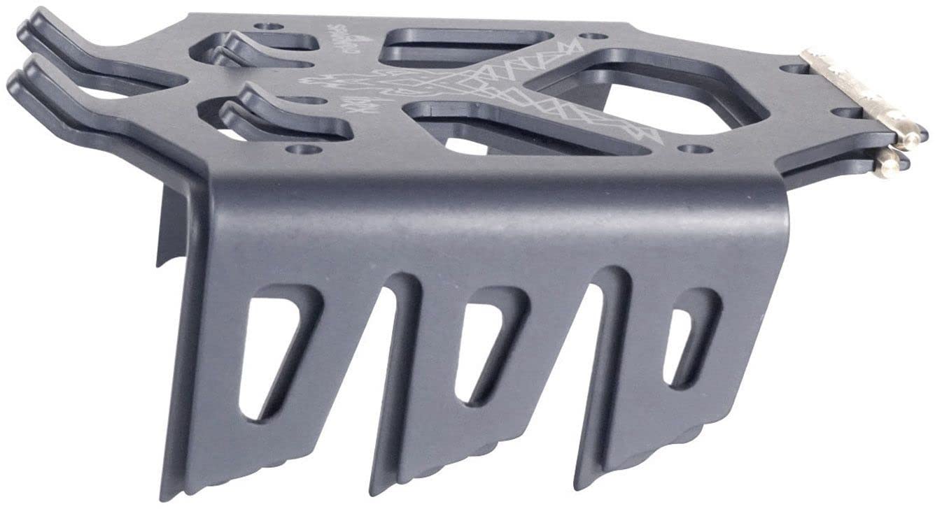 Spark R&D 21/22 Ramponi Ibex