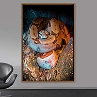 Framed Canvas Wall Art Snake Contemporary Dramatic Hallway Multicolor Photography Reptiles Snakes - 16x24 inches