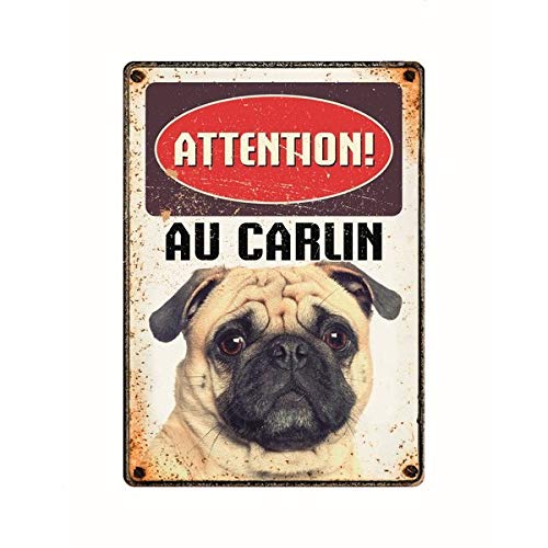plenty gifts Plaque métal Vintage Attention au Carlin