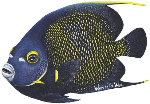 Miniatura 8 de Walls of the Wild Calcomanías de pared de arrecifes de coral tropicales y calcomanías de pared de peces tropicales colección mural