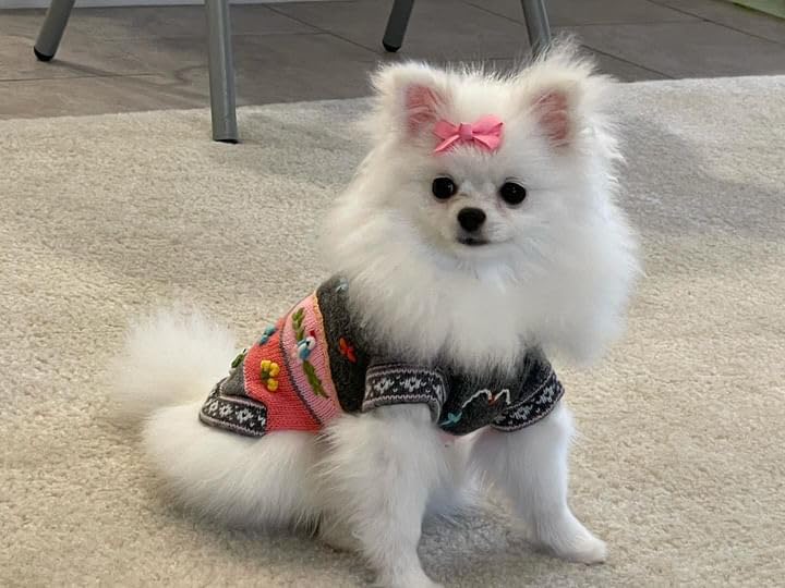 GRAY AND PINK Handmade Peruvian Dog Sweater (2)