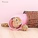 Niteangel Small Animal Foldable Play Tunnel with Fun Toys, 5.9 x 31.5 inches for Guinea Pigs, Rats and Dwarf Rabbits (Pink)