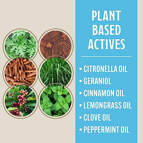 grandpa gus39s natural mosquito repellent bracelets for family 300 hours protection deet-free summer outdoor beach camping essentials regular assorted colors 12 bands