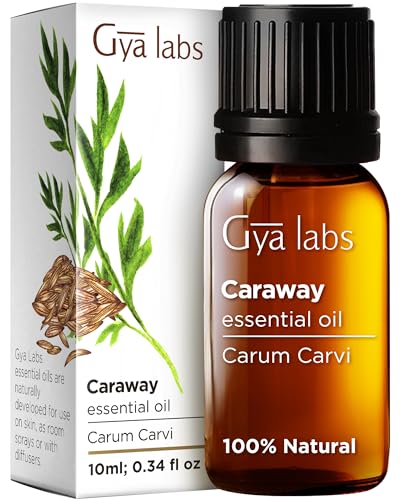 Gya Labs Aceite esencial natural de alcaravea para aliviar el dolor, la respiración y la digestión y la congestión - Grado terapéutico 100 puro para aromaterapia - 10ml