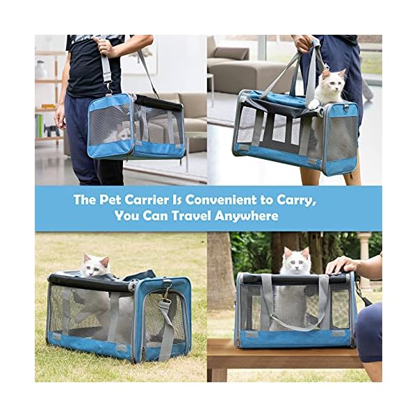 GAPZER-Pet-Carrier-for-Large-and-Medium-Cats-Soft-Sided-Pet-Carrier-for-Big-Medium-Cats-and-Puppy-Dog-Carriers-Cat-CarriersPet-Privacy-Protection-Travel-Carrier Soft Sided Pet Carrier for Big Puppy
