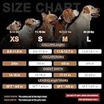 BEAUTYZOO Step in Dog Harness Collar and Leash Set for Small Medium Large Dogs, No Pull No Choke Puppy Harness, Soft Mesh Reflective Pet Padded Vest Adjustable for Doggie Girl or Boy,Chihuahua, Yorkie - Image 5