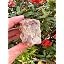 Red and Brown Calcite