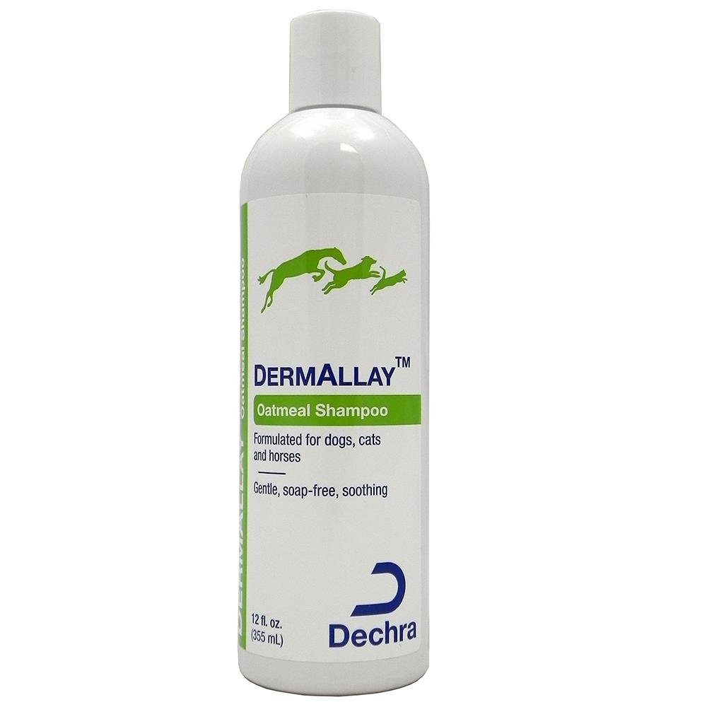 Dechra DermAllay Oatmeal Shampoo for Dogs, Cats, and Horses