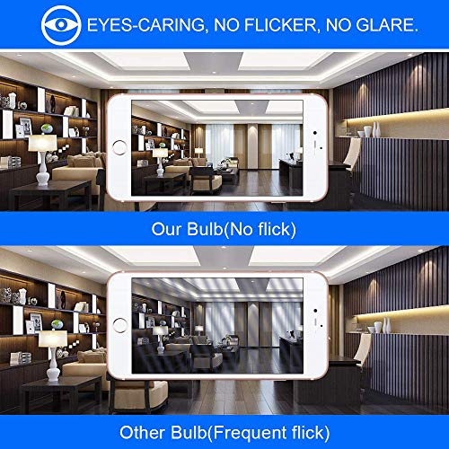 Image of Energetic A19 LED Bulb 60W Equivalent, 5000K Daylight LED Light Bulbs, E26 Standard Base, 760LM, Non-Dimmable, ETL Listed, 12 Packs