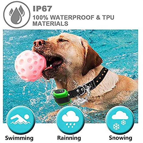 Wireless Dog Fence Strengths and Trade-Offs