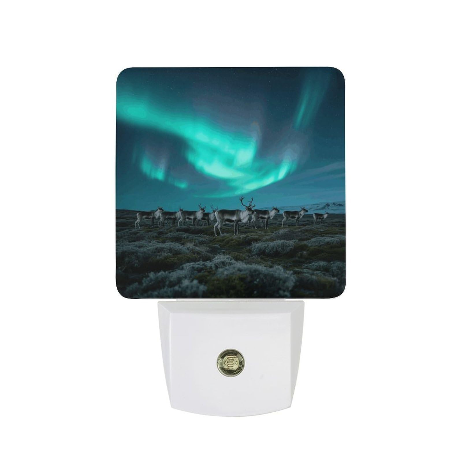 FodPand Night Light Plug Into Wall with Dusk to Dawn Sensor 0.5w Modern LED Reindeer_Aurora Plug in Night Lamp Warm White Glow Nightlight for Bedroom Hallway Kitchen Bathroom Stairs Corridor