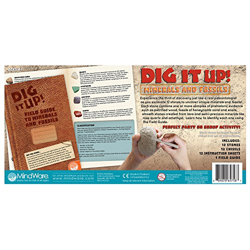 Dig It Up! Fossils & Minerals #TOP3