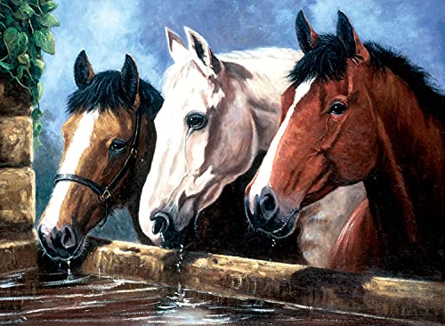 Pintar por números - Junior'caballos bebedores', cuadro DIY aprox. 40 x 32,5 cm, incl. 7 pinturas...