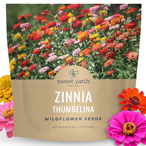 Zinnia Thumbelina Mix - Large 1/2 Ounce Packet - 2 500 Flower Seeds for Planting - Zinnia elegans