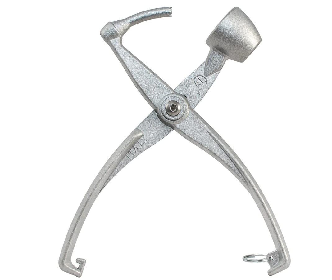 PGT STORE olive and cherry pitter